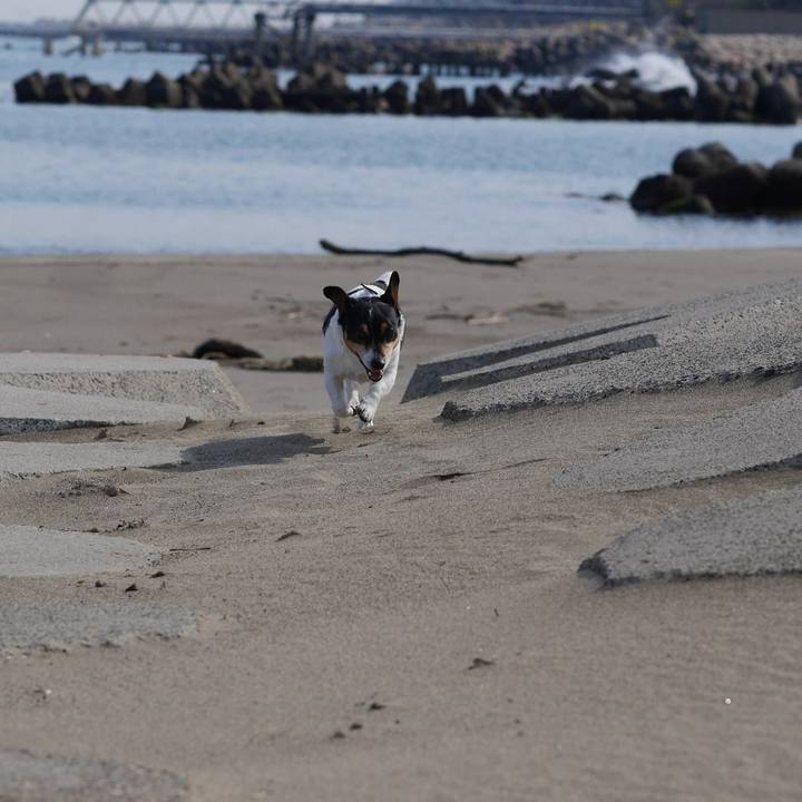 E3947a48 4731 4bb3 8cb7 86c9c21be8a0