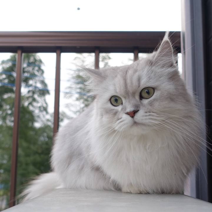 E394869c 131b 45b7 a949 8d8c243c830c