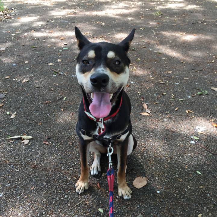 E394e47a b8ce 49fa 8b51 27de7d269ef9