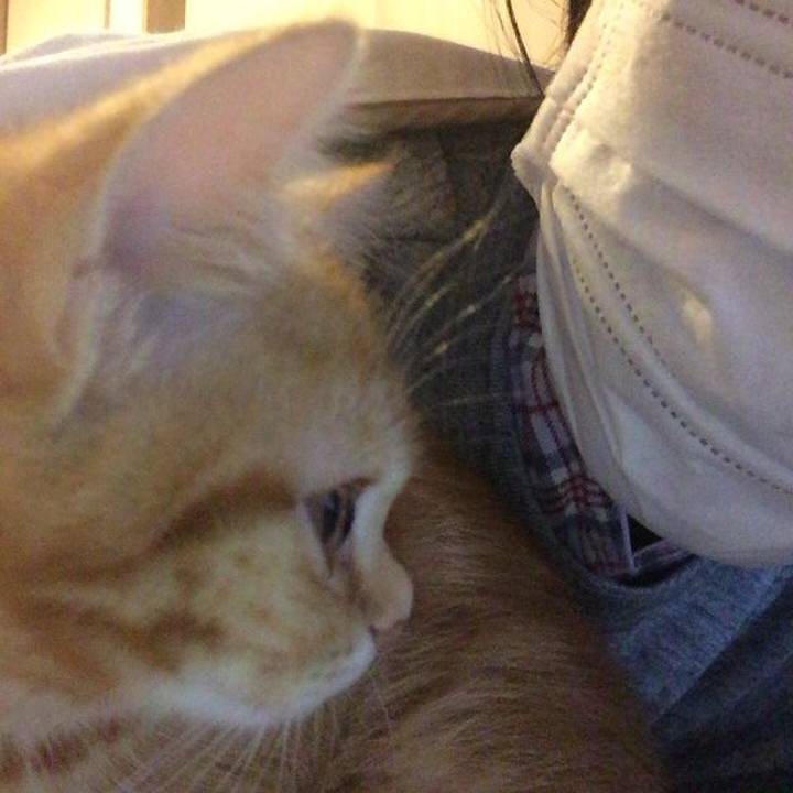 E3950d5f 87dc 4486 89cd 5e4aa04a81b3