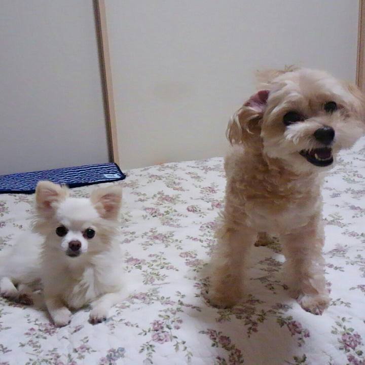 E39562ac 211a 41f1 a55c 9ac2ce707a92