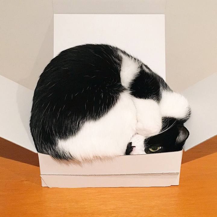 E3961288 3c53 4ce9 a38c 266af57eded1