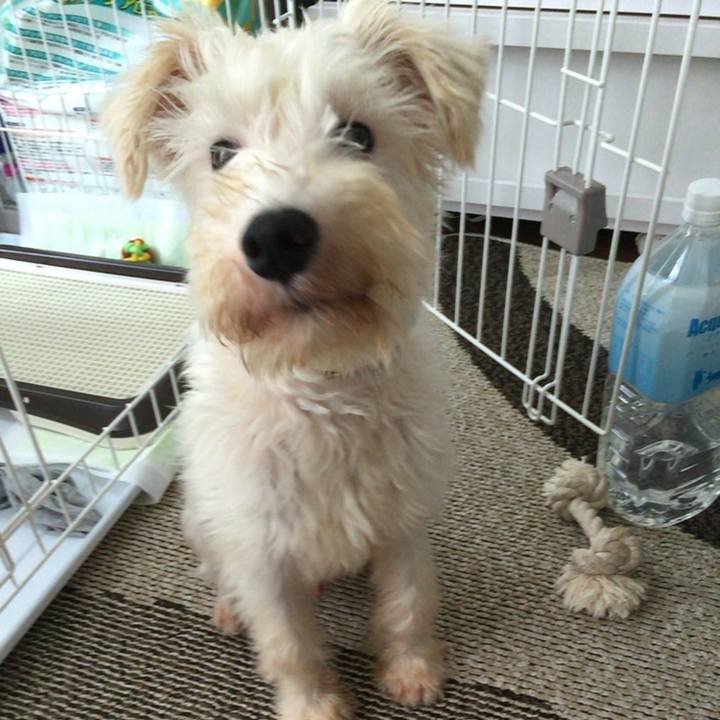 E3963046 d3a4 433c 832f cf60eee082e1