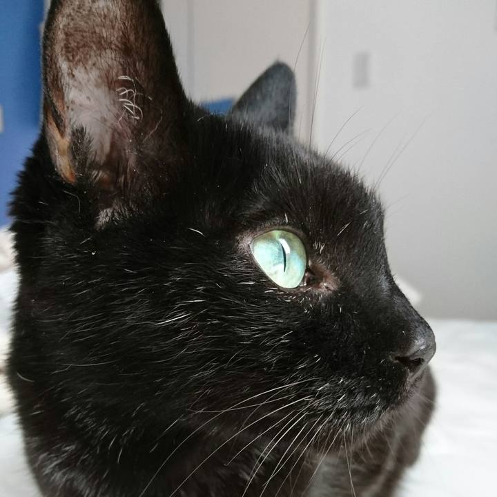 E3967f59 b5fe 4565 bd1f 1a1806939ca7