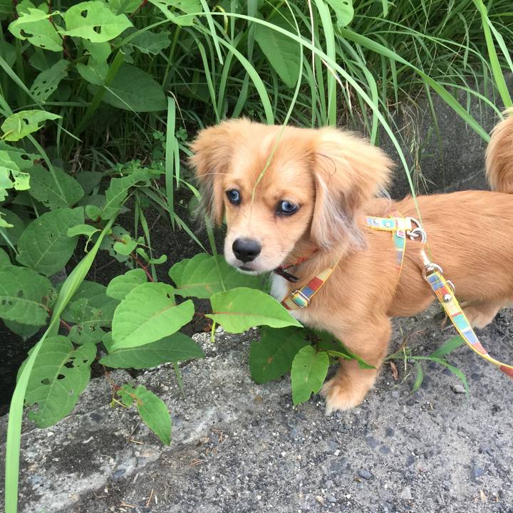 E3973259 bcd5 41cc ad7d 50a83ab68c9a