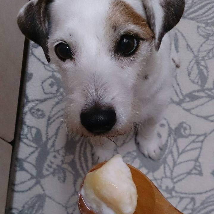 E3983c37 f59a 455f b79e 4ae23796adf9