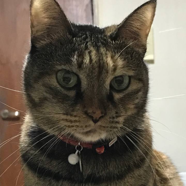 E398435d 31f0 4747 8de0 35ec2af42982