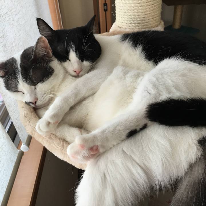 E398f181 0d90 4a05 9ca2 7971daba9763