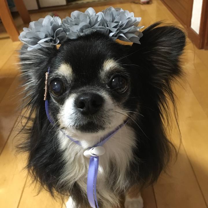 E39a4ff6 cdfd 424b bdb5 f9b740c74e93