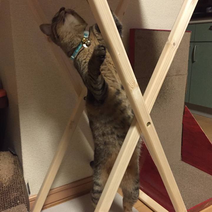 E39a5e96 a082 4b7a a7d7 824998809a4d