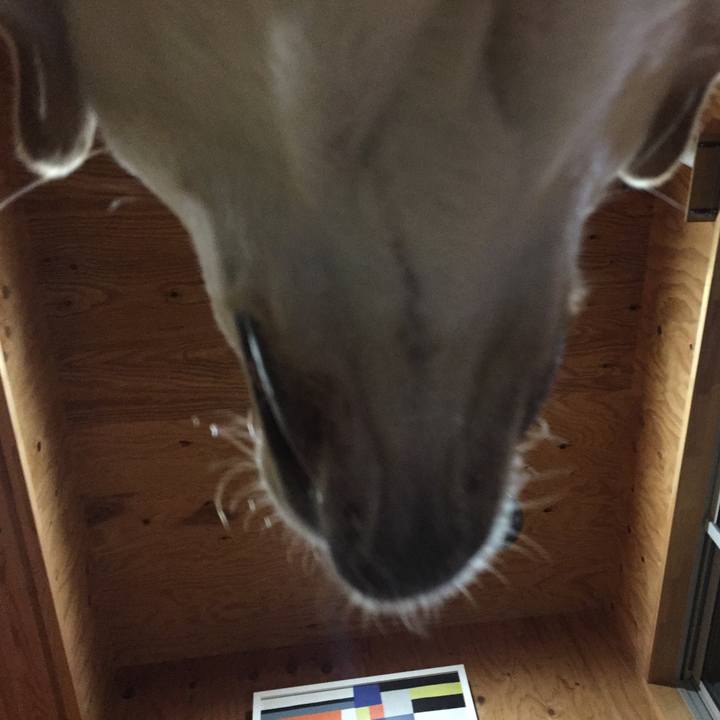 E39aa0d3 a563 4799 a9fa 6a3b14ca0530