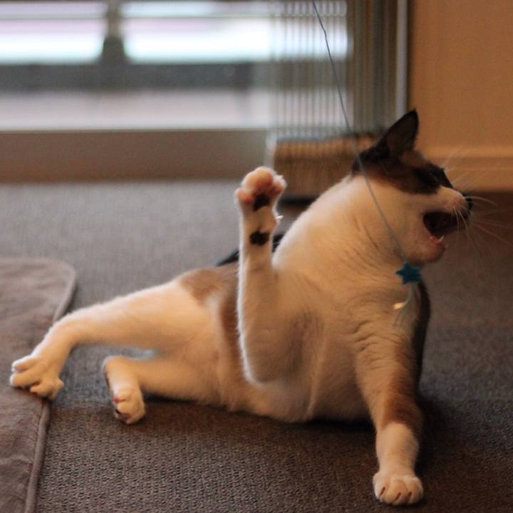 E39ad8ef dc41 45cb 8c65 f8882ee61648