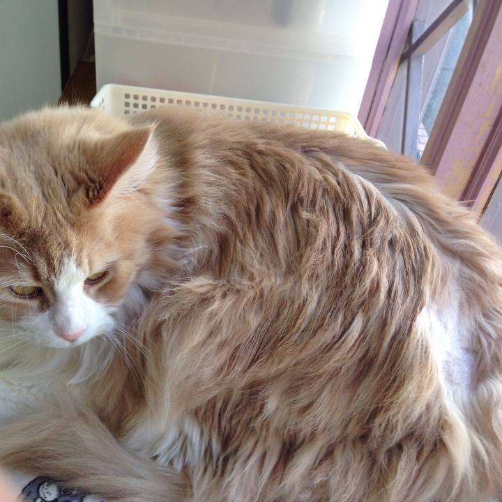 E39b2fd5 9318 46d2 9884 437e0825ffd4