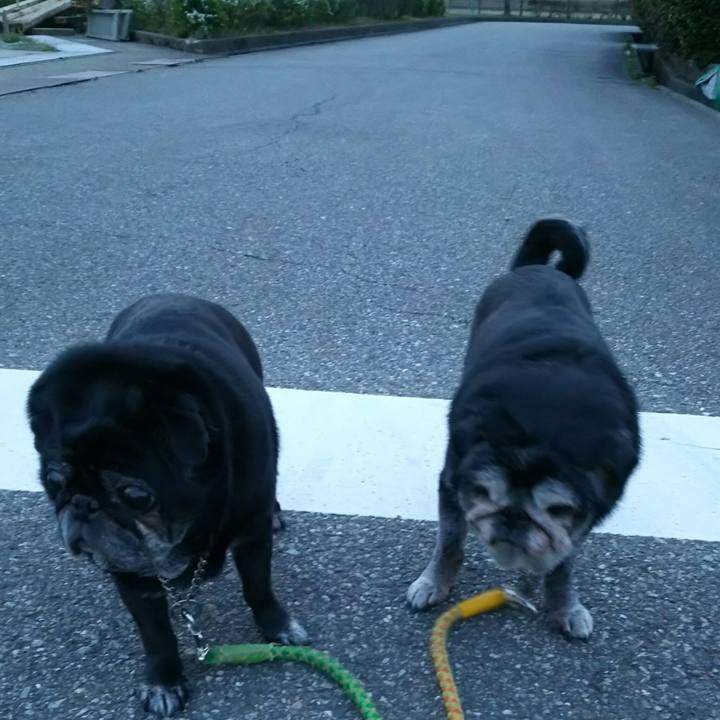 E39ba131 16b9 4458 94ad 6982538f5a56