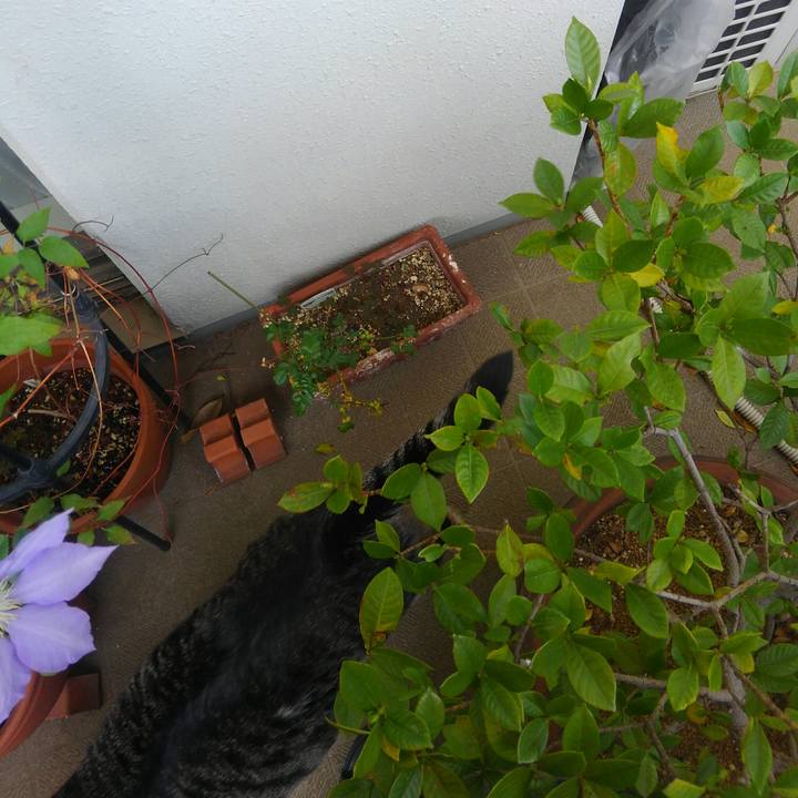 E39c3534 d10f 42e8 b688 ee7e6e4e3628