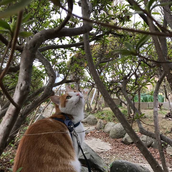 E39c551e 9720 466b 9c9d 31f6207cb20c