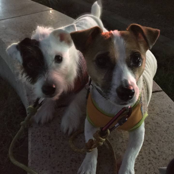 E39c695b c46a 4b32 a5c8 d768d1c38819