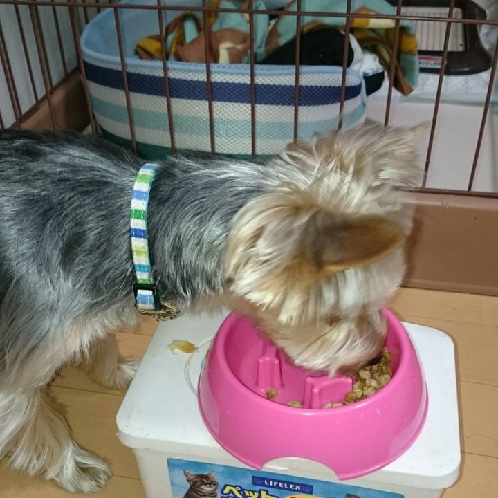 E39c8539 51b3 42d6 a46a 683d880f98b7