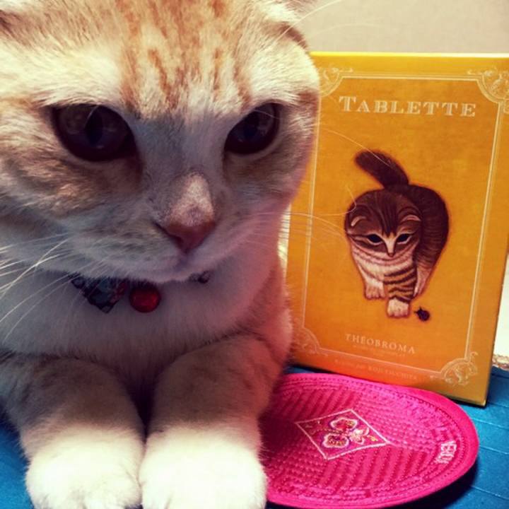 E39cb347 8b62 453a 8065 4c3ade15da84