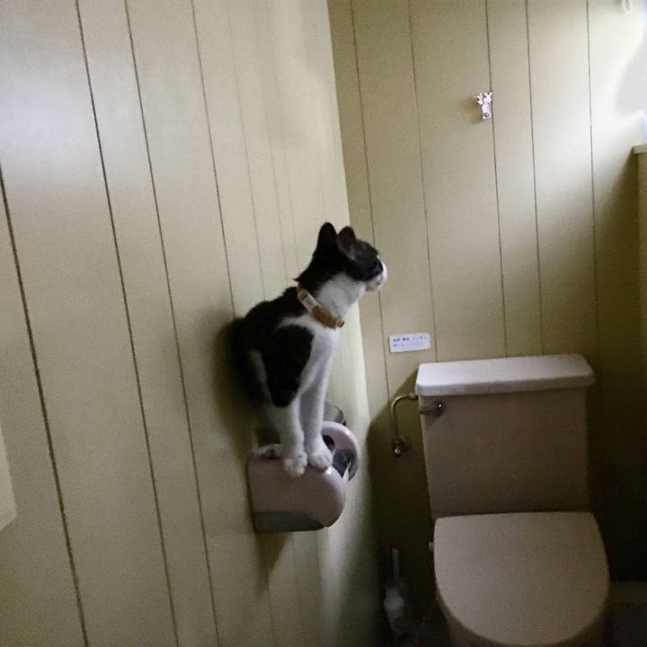 E39d171c 1e96 42c4 bd9c e57c7e1ca151