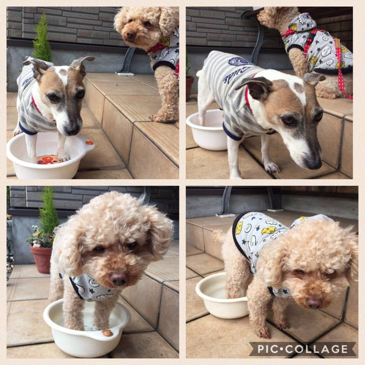 E39d7d9b 242c 41cd 8410 dc53ccfa177d