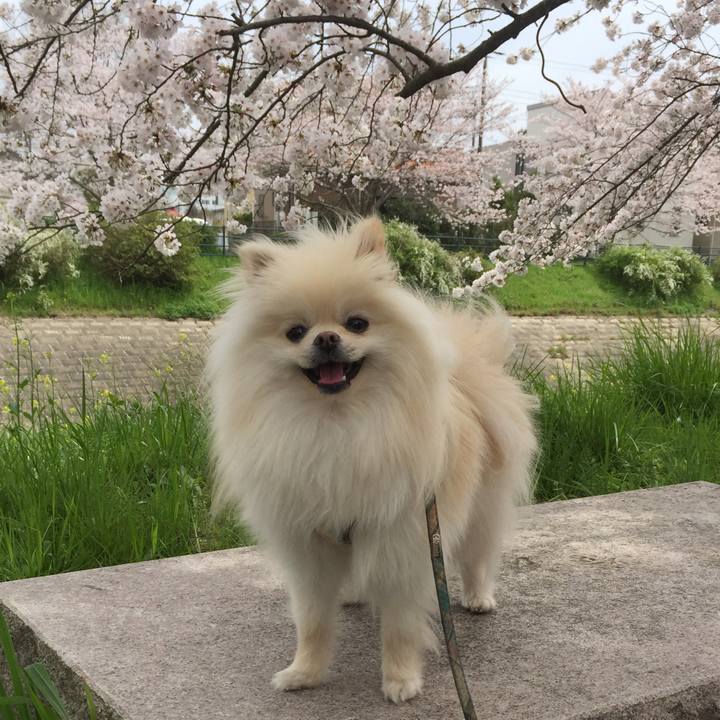 E39e7d91 77e3 4b36 bf9d 3f07ec26dbf2