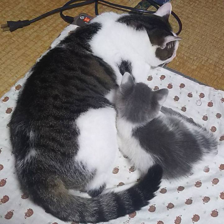 E39ef820 6acc 4b24 ad7d b565f9e26876