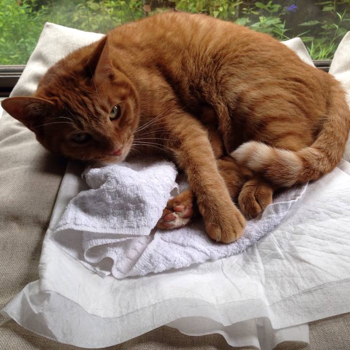 E39f65e4 5568 440b b51d 282430274259