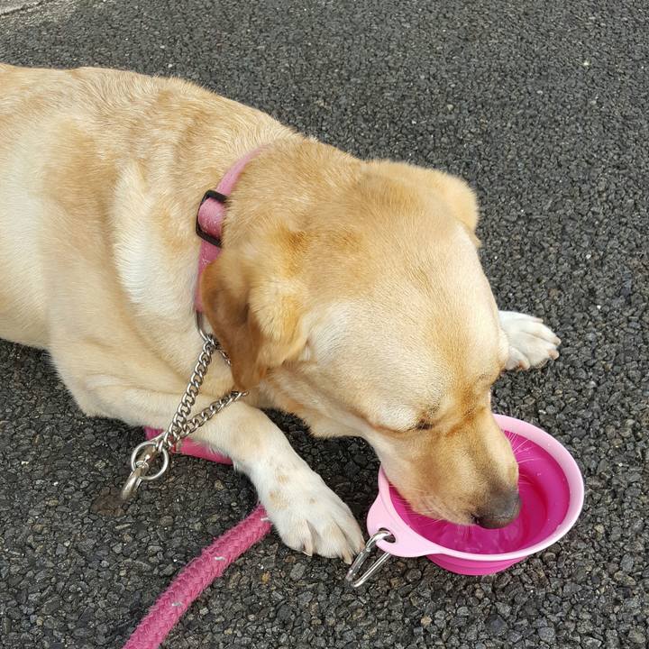 E39f78cb d4c6 4fe1 81c1 fb87186570df