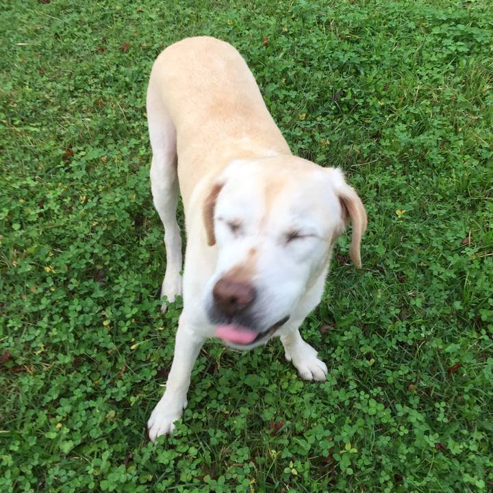 E3a10ac5 f466 4918 83f6 7fc92246de9b