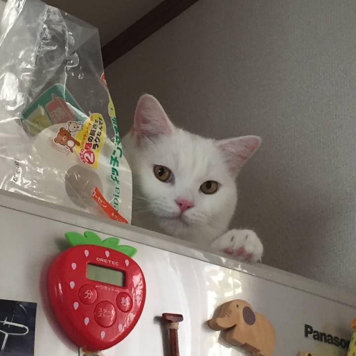 E3a14a97 c121 4355 b2f6 529a4d9fd2ba