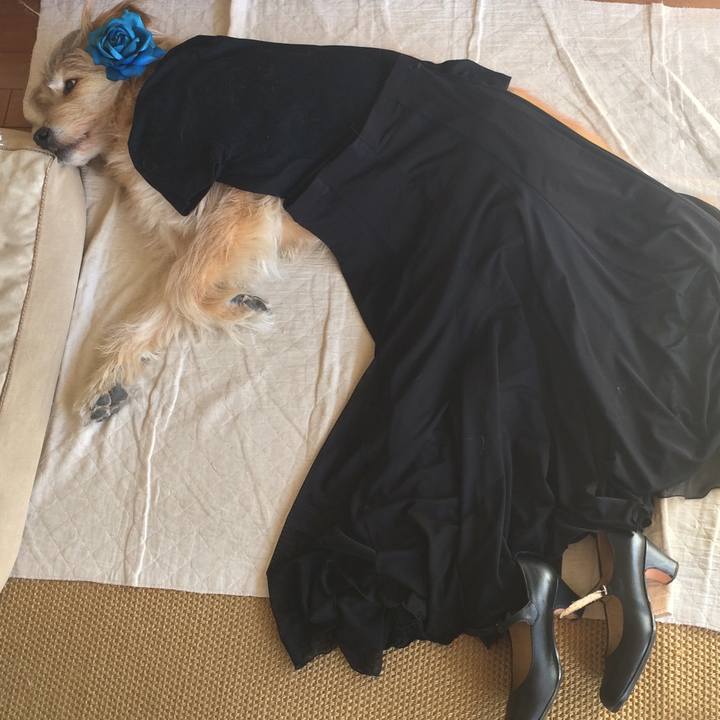 E3a1599a 8894 4cb1 a84f 883b81416776