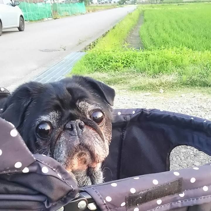 E3a277d8 6fc8 40dc b768 215adb3ab4c2