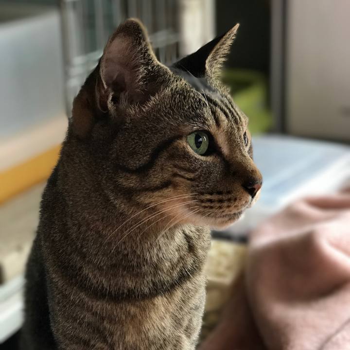 E3a2915f f786 40f3 ad67 86df9ac79d6b