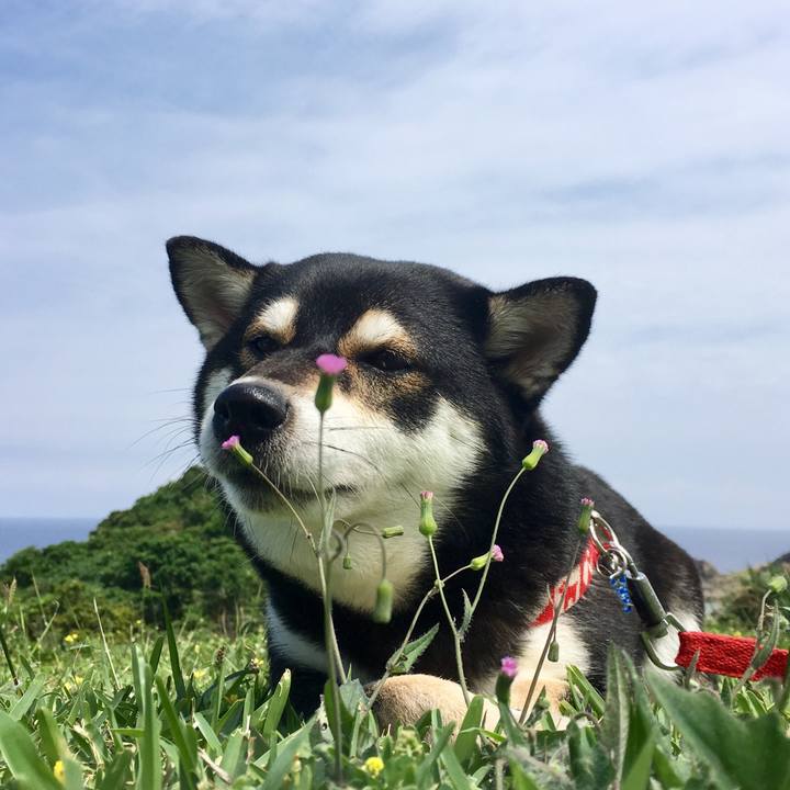 E3a2aac9 3f1b 434a 9efb ad6e502bc317