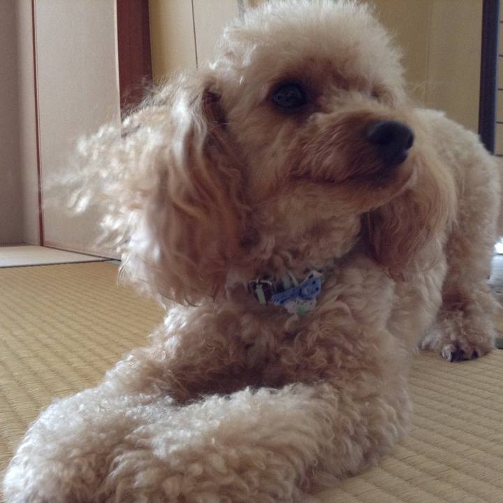 E3a2be2b 142d 453d b42b 0939fda3ccdc