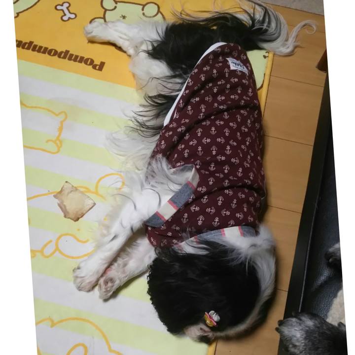 E3a2d37c 1896 4aae b6fc 7482d63d7e36