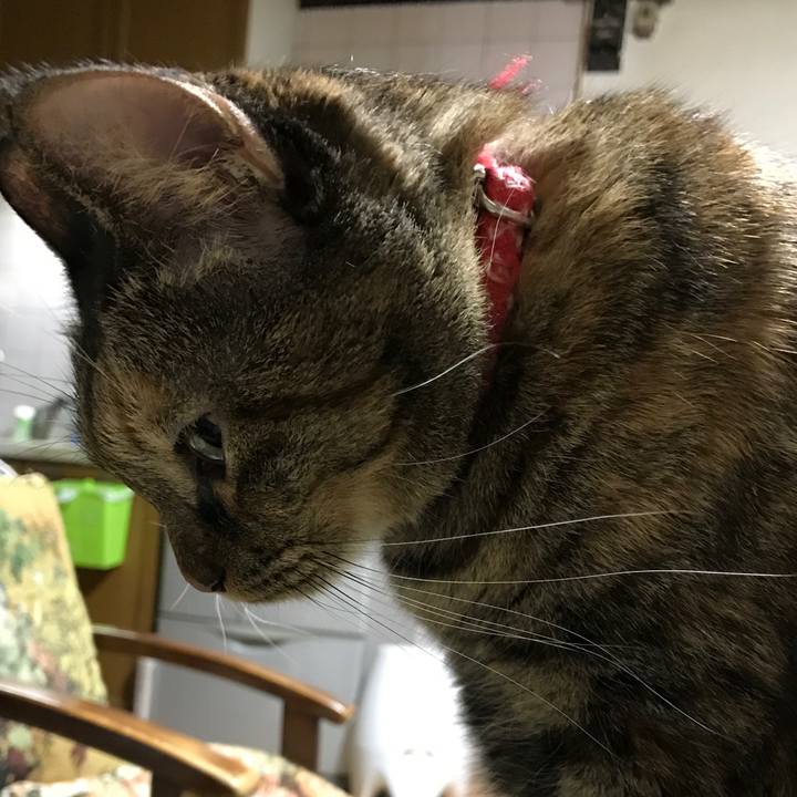 E3a34f50 1841 4f9f 975e 6e7b48550e4a