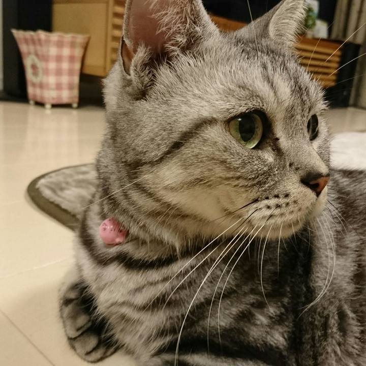 E3a35aad dee0 41e4 9e28 479c6ed6d8d9