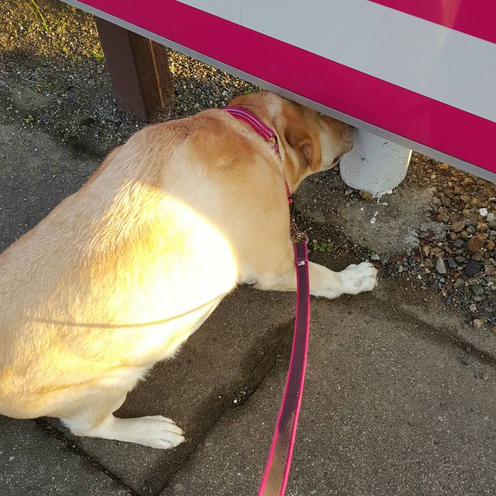 E3a38329 c8df 46f6 a421 3eb1e2979c44