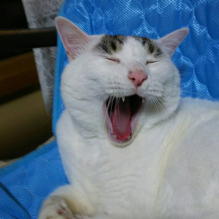 E3a3a592 dfa0 4035 99bb 99136f910aaf