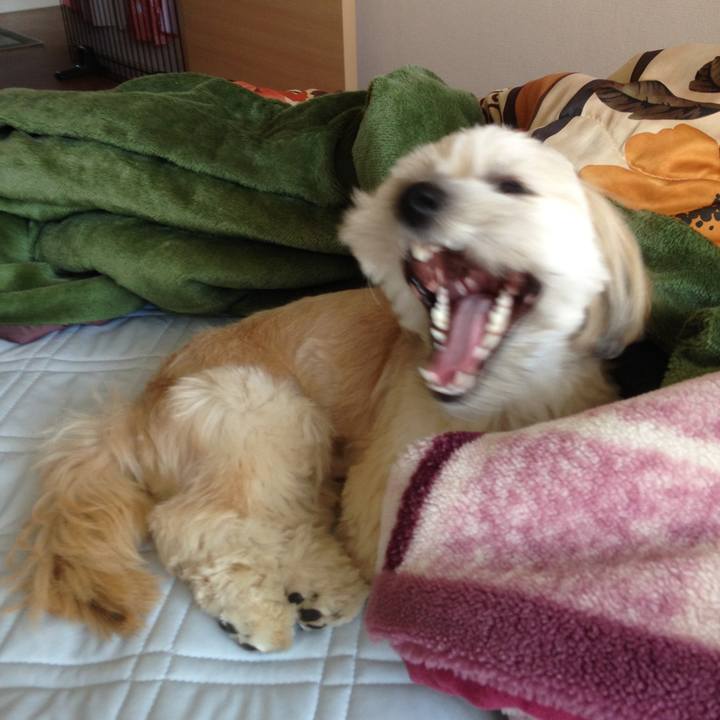 E3a3e162 a545 475d b838 0825e6893c75