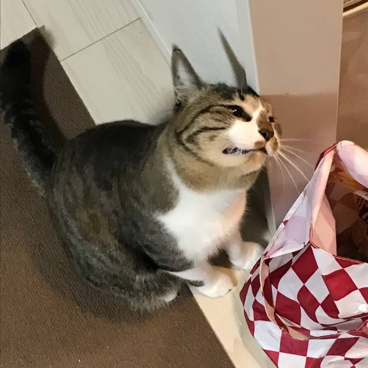 E3a47608 93ed 4da5 aa13 d8036e07ea1e