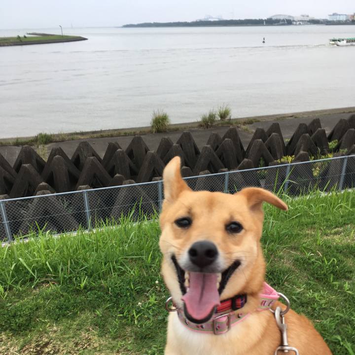 E3a4f255 6d50 4053 8c8e 72c9341359b6