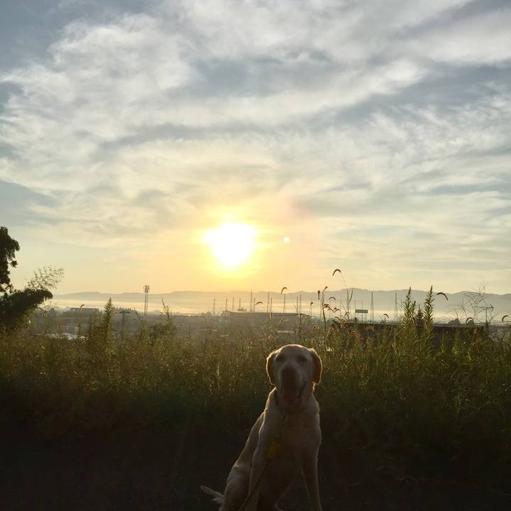 E3a5233a 4469 4fe0 b7d3 638a1a48d4ad