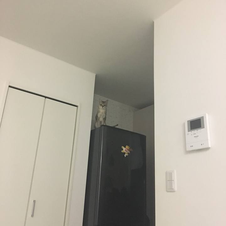 E3a5f460 279c 4ed8 a2ad bd75de0f6a41