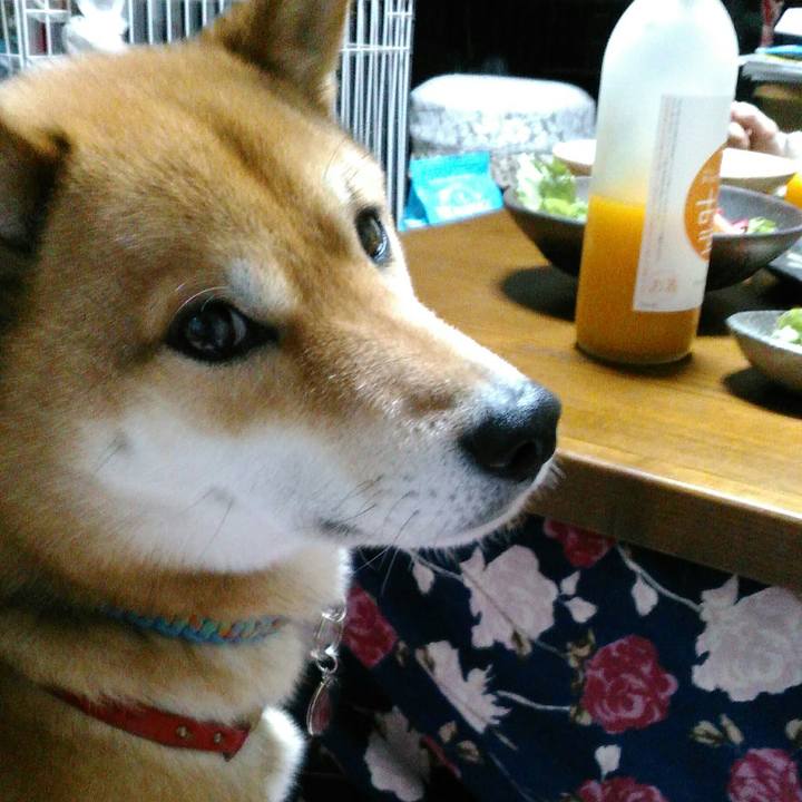 E3a5ff56 b761 401e bf74 86c39d6c46fc