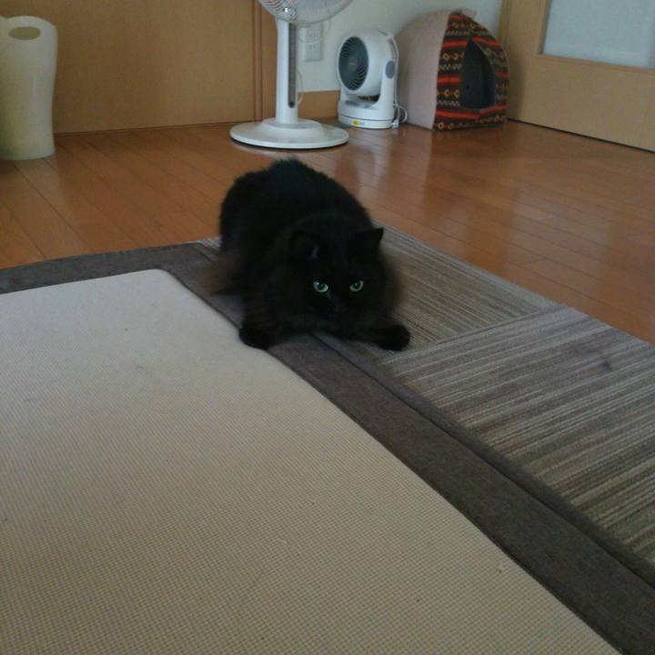 E3a62f99 67f2 40f5 8ec8 7e557bf7550b