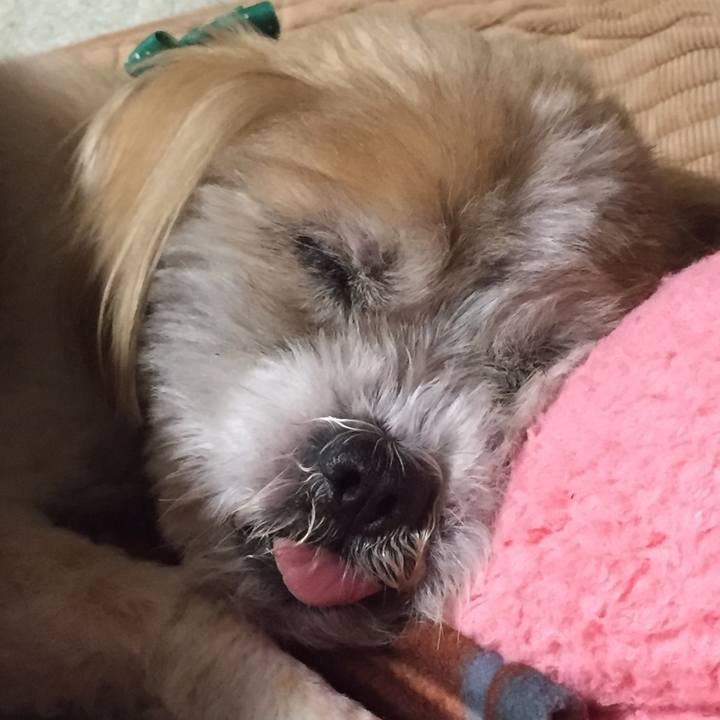 E3a65b51 cd93 45b5 8d6b e1786916d682