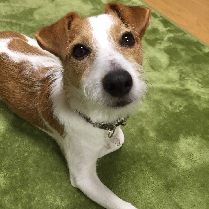 E3a6698b afc2 4541 967f a03699f2b4f1